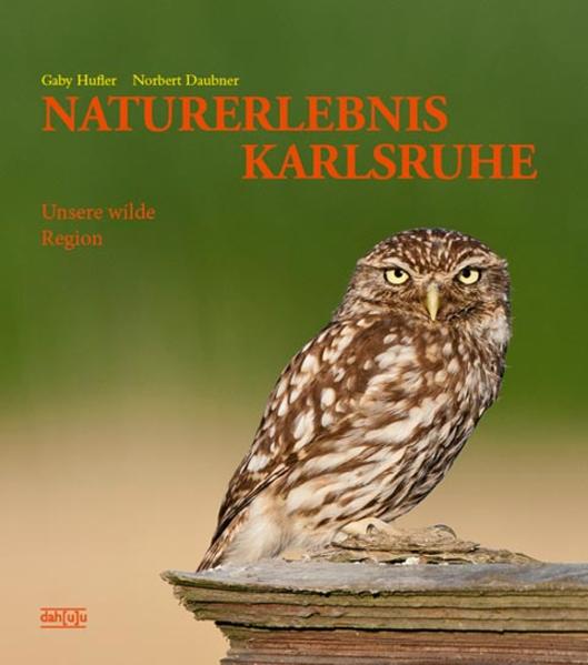 Karlsruhe und unsere wilde Region neu entdecken in diesem einzigartigen Fotoband. Die Fauna in unserer unmittelbaren Nähe aufspüren, Tiere entdecken, die sich in unserer Region aufhalten und hier heimisch sind. Vögel auf ihrer langen Reise nach Süden und zurück bei ihrer Rast begleiten. Sich überraschen lassen von Säugetieren, Reptilien und Amphibien sowie einer erstaunlichen Vielfalt an Vogelarten. Kuriose Insekten und prachtvolle Schmetterlinge ergänzen das Werk. Verborgenes, Unbeachtetes, Geheimnisvolles aufgespürt, mit der Kamera eingefangen und wunderbar illustriert. Interessante, spannende und aufschlussreiche Informationen über die hiesige Tierwelt, kurz und prägnant präsentiert, vervollständigen das NATURERLEBNIS KARLSRUHE. Alle Fotos wurden in einem maximalen Radius von 30 km um Karlsruhe aufgenommen. Sämtliche Tiere wurden in Freiheit und ohne in ihren Lebensraum einzugreifen fotografiert. Ein Bildband, der Freude bereitet und Wissen über Karlsruhes geheime Kostbarkeiten vermittelt und anregt selbst die Augen offenzuhalten. Allem voran der Wunsch die Natur unserer wundervollen Heimat als etwas Besonderes zu erkennen und verantwortungsbewusst mit ihr umzugehen.