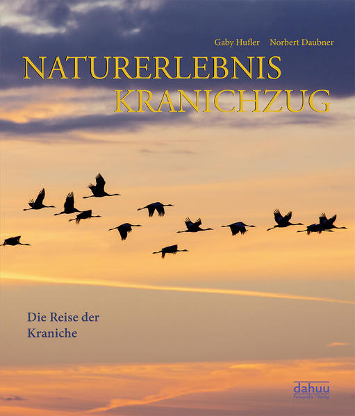 Begleiten Sie die Reise der Kraniche mit dem NATURERLEBNIS KRANICHZUG. Beobachten Sie die Zugvögel auf ihren Etappen von Skandinavien bis in den Südwesten Spaniens und lernen Sie dabei auch die vielfältigen Weggefährten der Graukraniche kennen. Erleben Sie, wie die Kraniche Gefahren überwinden, die Unbill der Naturgewalten überstehen und sich den Strapazen einer Tausende Kilometer weiten Reise aussetzen – mit dem Ziel, wohlbehalten im Winterdomizil anzukommen. Dieser großartige Fotoband beschreibt den westeuropäische Reiseweg dieser faszinierenden Vögel. Verknüpft mit spannenden Hintergrundinformationen zu Aufenthaltsorten und Lebensweise der majestätischen Vögel, wird die außergewöhnliche Schönheit der Kraniche in zahlreichen Bildern lebendig. Dabei lernt der Leser auch die verschiedenen Tiere, denen der Kranich während dieses Zugs begegnet und die mit ihm ziehen, und deren Lebensräumen besser kennen. Das Autoren- und Fotografenteam hat die Route der Kraniche von Anfang an begleitet und illustriert mit herrlichen Fotografien ihre wunderbaren Erlebnisse mit dem Vogel des Glücks.