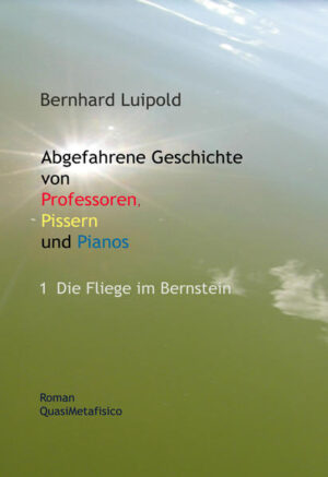 Band 1 nur lieferbar zusammen mit Band 2 (ISBN 978-3-9811613-8-0). Biografische Verschränkungen zwischen einem DDR-Lyriker und einem BRD-Erzähler vor und nach dem Untergang der DDR. Romankomposition unter Berücksichtigung des lyrischen Verfahrens des amerikanischen Poeten John Ashbury. Letzterer die Havarie dieser Fiktion zusammen mit 35 afrikanischen Flüchtlingen überlebt.