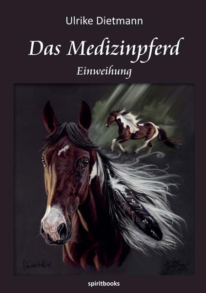 „Ich bin durch und durch Rationalistin, Atheistin, mit achtzehn aus der Kirche ausgetreten. Ich habe mich nie für Mystik, Okkultismus, Telepathie oder dergleichen interessiert. Wenn es um irgendetwas geht, woran ich glauben muss, anstatt Beweise geliefert zu bekommen, passe ich …“ Nachdem Valeries Tochter bei einem Reitunfall ums Leben kam, ist ihre Welt aus den Fugen geraten. Plötzlich taucht ein Pferd namens Gitanes auf und erklärt sich selbst zum Medizinpferd, das gekommen ist, um ihre Seele zu heilen. Dann lädt der Besitzer des Pferdes, der Halbindianer Tom, Valerie zu einer Reise nach Arizona, USA, ein. Dort erlebt Valerie unter den Nachkommen von Indianern eine spirituelle Einweihung in eine unbekannte Wirklichkeit. Allmählich lernt Valerie die besonderen Fähigkeiten der Pferde kennen …