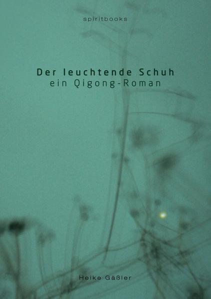 'Wenn ich ganz langsam und wenn ich ganz vorsichtig und wenn ich ganz weit hineingehe in den Herzbereich, wenn ich mich durch alle Windungen des Labyrinthes, das als Schutzzone das innere Herz umspannt, hindurch gewunden habe, dann - ja, was kommt dann? ' Der leuchtende Schuh ist ein Qigong-Roman - die Geschichte einer spirituellen Erfahrung und zugleich eine Liebesgeschichte, die uns an Schauplätze in Taiwan, Indonesien, Singapur, China, Tibet und in die Mongolei führt. Soll Henriette den undurchsichtigen Anweisungen ihres Qigongmeisters Wu Xiang Fei folgen oder ihrer eben erwachten Liebe zu Marc? Als der Auftrag ihres Meisters sie in die mongolische Wüste führt, muss Henriette die Entscheidung ihres Lebens treffen.