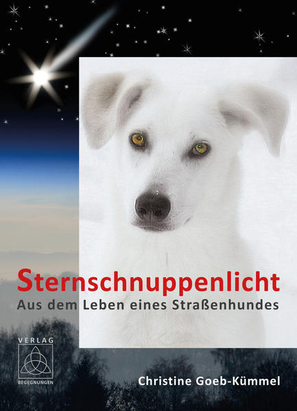 Die Geschichte von Lobo, dem ganz normalen und doch so außergewöhnlichen Straßenhund, ist eine sehr berührende Lebensgeschichte mit besonderen Wendungen.Lobo, auf der Suche nach einem Platz in der Gesellschaft, in die er hineingeboren wurde, gerät zunächst in Situationen, die ausweglos erscheinen. Wie schließlich Dinge geschehen, die niemand erwartet hatte, und wie Lobos Reise durch sein spannendes und bewegtes Leben verläuft, wird mitfühlend und anschaulich geschildert und mit Illustrationen untermalt. Das Leben dieses Hundes wird - trotz vieler Wiedrigkeiten - stets beleuchtet von einem Stern der Hoffnung, und besonders aus deisem Grund ist das Buch auch für Kinder geeignet, die sein Inneres und Lobos Bilder mit Farbe füllen dürfen.