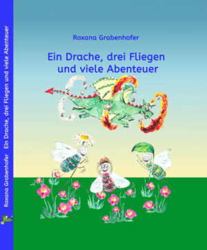 Auf der Sonnenwiese in einem Baumstumpf leben die drei Fliegen Mäh, Mah und Muck. In der Schlucht nebenan wohnt ein riesiger, feuerspuckender Drache. Wenn er wütend wird, schimmert seine grüne, schuppige Haut rot. Aber er hat ein gutes Herz. Zusammen erleben sie unglaubliche Abenteuer. Sie retten den Kometenwurm Krux, vertreiben die Drachenjäger, versuchen, einander auszutricksen und vieles mehr. Dabei entdecken sie, wie schön es ist, zu helfen, und dass für Freundschaften nur das Herz zählt. Sie lernen, was man alles schafft, wenn man fest daran glaubt, und dass Kämpfen nicht immer die Lösung ist ... Zur Seite stehen ihnen mit Rat und Tat Frau Buh, die Eule, Herr Wurzel, der Maulwurf, Frau Butterkäse, die Maus, sowie viele weitere Tiere.