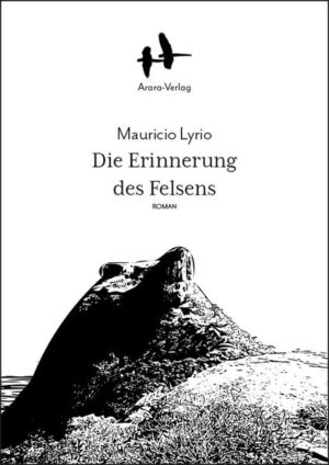 Seit seiner Jugend sucht der dreiunddreißigjährige Philosophieprofessor Eduardo nach einer Erklärung für das Ereignis, das sein Leben veränderte, der Unfall seiner Eltern. War es Schicksal oder Selbstmord? Hilft ihm der Arzt Gilberto, die Antwort zu finden, die Liebe zur attraktiven Malerin Laura oder die väterliche Beziehung zum Straßenjungen Romário? Oder sind es Familienerinnerungen in einem Haus in Teresópolis, die ihn vom Gefühl eines zerbrochenen Lebens erlösen? Damit das Schweigen des schwarzen Felsens nicht mehr alles war, was er hören konnte.