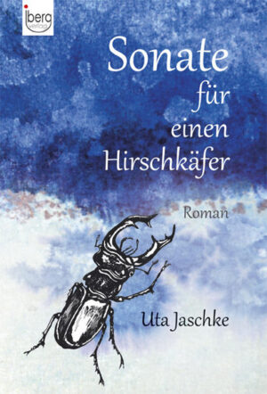 Schweigsam und verschlossen hat Berenike während ihrer Schulzeit in einer Fantasiewelt gelebt. Nun, an der Seite ihres Mannes Ben, einem Pädagogen voller Ideale und Energie, stürzt sie sich in das Berufsleben wie in ein aufregendes Abenteuer. Gemeinsam mit Ben will sie Schüler für Musik, Kunst und Theater begeistern, ihre Leidenschaft für Bücher mit den Kindern teilen, sie mit Geschichten und Gedichten vertraut machen. Den Kampf aufnehmen gegen eine Welt, die ein geist-, fantasie- und geschmackloses Kollektiv vorprogrammiert. An einer Underdog-Schule mit angstbesetztem Klima erkennen sie schnell ihre Grenzen. Ben gibt nicht auf. Berenike, deren Nerven überfordert sind, fühlt sich von einem Fremden angezogen, der sie, frei von jeder Moral instrumentalisiert. Eine Geschichte über die Magie der Musik. Ein Plädoyer für den Erhalt der musischen Fächer in der Schule vor dem Hintergrund brennender Fragen im Bildungdwesen. Eine Geschichte über die Suche nach einer Ordnung. Und von der Sehnsucht, daraus zu fliehen.