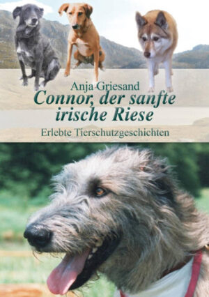 In diesem neuen Band ihrer erlebten Tierschutzgeschichten, "Connor, der sanfte irische Riese", erzählt Anja Griesand von Tieren, denen sie im Rahmen ihrer engagierten Tierschutzarbeit begegnete, überwiegend von Hunden von den Kanarischen Inseln. Viele Geschichten mit Happyend, abwechslungsreich, informativ, unterhaltsam, zu Herzen gehend, da von Herzen erzählt. Ob es um den seelenvollen, zartbesaiteten Titelhund geht, um die Schäferhündin Senta, die erfolgreich wieder aufzuspüren die Autorin nichts unversucht ließ, um Hundelieben und -freundschaften, um das "Erdmännchen" Flippi oder die beiden riesigen Brüder, die sich in Deutschland wiedersahen und erkannten - immer erlebt der Leser das Geschehen mit und fühlt sich in die Geschichten eingebunden. Ein lesenswertes Buch für alle Tierfreunde! Ein Buch, das man am liebsten in einem Zug lesen möchte - ein Tierschutzgeschichtenbuch der besonderen Art! Mit dem Kauf des Buches unterstützen Sie die Tierschutzarbeit der Autorin. Bewusst wird auf die Schilderung schlimmer Erlebnisse im Tierschutzalltag verzichtet.