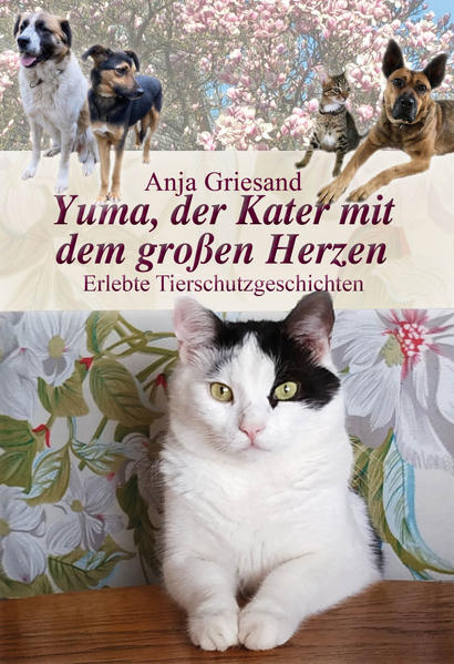 Wie in Anja Griesands anderen Tierschutzgeschichtenbüchern geht es auch in diesem Buch um Erlebnisse mit Tieren im Tierschutz, lustige, nachdenklich stimmende, traurige - aber immer mit der Gewissheit, dass alles so kommt, wie es kommen soll, und Tiere zu retten stets etwas Gutes ist! Wie der Titel bereits andeutet, geht es diesmal neben vielen Hundeschicksalen auch um Katzen, wie Yuma, der als junges Katerchen aus Bulgarien den Weg zu mir fand und zu meinem Schatten wurde, oder die beiden Wurfgeschwister Coda und Kenai, die dem jüngsten Sohn der Autorin in Russland zuliefen und mit nach Deutschland ausreisten. Es geht auch um Westa, eine ehemalige Therapiehündin aus Russland, die, gezeichnet von einem harten Leben auf der Straße, ein glückliches Zuhause auf einem norddeutschen Gnadenhof fand und, selbst behindert, auch als Therapiehündin wieder behinderte und kranke Menschen ermutigt und erfreut. Wir begegnen Pfefferminza, genannt Pfeffi, einer dreibeinigen völlig unerfahrenen Hündin aus Bulgarien, die in einer Studenten-WG das bunte Leben kennenlernte und sich zu einer lebensfrohen Sportlerin entwickelte, und vielen weiteren herzerwärmenden Tierschicksalen. Es erwarten Sie 28 unterhaltsame und informative Geschichten, die auch Einblicke in den Tierschutzalltag mit seinen Höhen und Tiefen gewähren. Auf die detaillierte Beschreibung bedrückender Zustände wurde, wie in allen meinen Büchern, bewusst verzichtet. Ein Buch, das man am liebsten in einem Zug lesen möchte - ein Tierschutzgeschichtenbuch der besonderen Art! Mit dem Kauf des Buches unterstützen Sie die Tierschutzarbeit der Autorin.