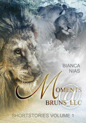 Shortstories Volume 2: Moments@Bruns_LLC | Bundesamt für magische Wesen