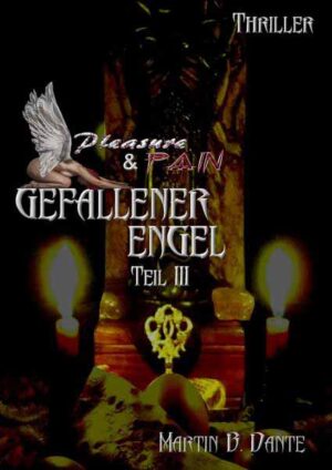 Gefallener Engel Teil 3 Pleasure & Pain | Martin B. Dante