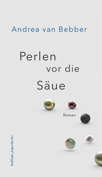 Der Roman kreist um eine junge Frau, die sich, zunächst aus einer normalen pubertierenden Haltung heraus, gegen den DDR-Staat auflehnt, bis sie am Ende aus nichtigen Gründen zu einer Haftstrafe verurteilt wird. Man erhält nicht nur Einblick in den normalen DDR-Alltag, sondern auch in extreme, dem Widerstand gegen den Staat geschuldete Erfahrungen bis hin zu unmenschlichen Zuständen im Frauengefängnis Hoheneck. Ein zweiter Erzählstrang spielt in der Gegenwart: Im Zentrum steht Jonas, der inzwischen erwachsene Sohn der Protagonistin Paula. Er arbeitet als Altenpfleger in einem Heim. Die Bekanntschaft mit einer neuen Heim-Bewohnerin fesselt zunehmend sein Interesse. Die wachsende Freundschaft zwischen den beiden führt zu Enthüllungen, die nicht nur sein Leben von Grund auf verändern, sondern auch von seiner Mutter eine schwerwiegende Korrektur ihrer Biografie abverlangen.