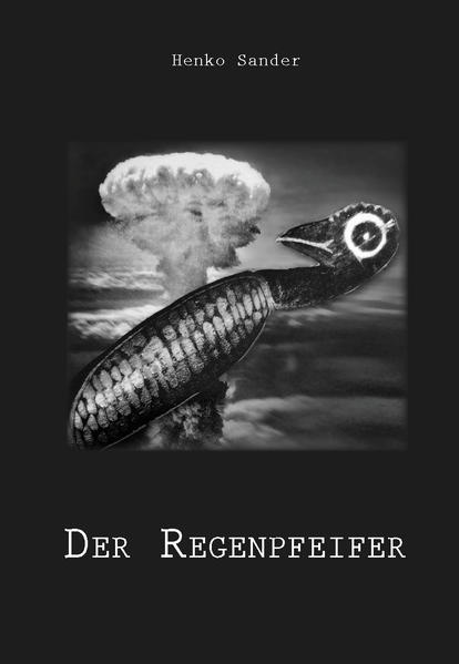 Der Regenpfeifer | Henko Sander