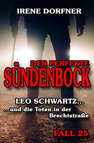 Der perfekte Sündenbock Leo Schwartz ... und die Toten in der Brechtstraße | Irene Dorfner