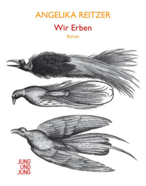 Mariannes Leben ist vererbt. Sie übernimmt den Betrieb ihrer Großmutter, eine Baumschule, noch bevor diese stirbt und Marianne mit all dem zurücklässt, was hier, in dem großen Haus in der österreichischen Provinz, verwurzelt ist: eine weit verzweigte Familie, ihre Geschichten, ihre Vergangenheit, das, was kommt. Der Radius von Mariannes Leben ist klein, es besteht aus viel Alltag und viel Arbeit, und selbst die bestürzendsten Ereignisse geschehen mit der Selbstverständlichkeit, mit der die Jahreszeiten wechseln. Siri, die Freundin aus dem Land, das einmal die DDR war, fängt dagegen immer wieder neu an. Sie ist mit ihren Eltern in den Westen geflüchtet, Monate bevor die Mauer gefallen und die Welt auf einmal in allen Himmelsrichtungen unüberschaubar groß geworden ist. Aber wo ist darin ihr Platz, ein Anknüpfungspunkt für ihr Leben? Unsentimental im Ton, mit leuchtender Klarheit im Blick für die Details, poetisch und suggestiv in ihrer sprachlichen Präzision erzählt Angelika Reitzer diese Geschichte von zwei Frauen, deren Freundschaft zufällig scheint. Und doch erkennen sie einander in ihren Sehnsüchten, berühren sich in dem, was ihnen fehlt.