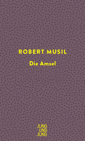 Die Amsel ist Musil in nuce, eines seiner persönlichsten Werke und ein Schlüsseltext der Moderne. Auf wenigen Seiten berichtet er von einer Begegnung zweier Jugendfreunde und davon, wie einer dem anderen erzählt, warum alles anders gekommen ist: von einem nächtlichen Erweckungserlebnis, dem Ausbruch aus der Enge des Lebens, seiner Erfüllung in Todesnähe und der Rückkehr in die eigene Kindheit nach dem Verlust der Mutter. Über drei Jahre hat Musil daran gearbeitet, bevor die Erzählung 1928 in einer Zeitschrift erschien. Er hat sie Jahre später in seinen legendären Nachlass zu Lebzeiten aufgenommen.