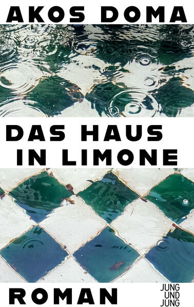 Gabriel Berger fährt für ein Wochenende nach Italien, um sein Ferienhaus am Gardasee zu verkaufen, das er seit anderthalb Jahren nicht mehr betreten hat. Er ist Anfang fünfzig und will Abschied nehmen, wie er sagt, begegnet dabei aber der Studentin Nella, die ihn an seine einstige Liebe Ana erinnert. Die beiden verbringen den Tag gemeinsam am See, und Gabriel sieht sich in seine Vergangenheit zurückversetzt, während Nella sich von dem aus der Zeit gefallenen Mann angezogen fühlt. Am nächsten Morgen entdeckt er nach dem Erwachen eine unbekannte Frau in seinem Hotelzimmer. Sie ist aufgewühlt und in Sorge, weil ihr Mann seit Tagen verschwunden ist. Fasziniert von der rätselhaften Frau begibt sich Gabriel mit ihr auf die Suche. Die Spur führt zu einem schrecklichen Ereignis, das sich anderthalb Jahre zuvor ereignet hat - und zu Gabriels Haus am See. Das Haus in Limone ist ein literarisches Vexierspiel um Mann und Frau, in dem nichts ist, wie es zu sein scheint, eine labyrinthische Reise ins Herz eines Mannes - und ein Abgesang auf das Erbe von ’68.