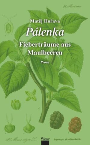 Rumänien, im Banat. Abgeschiedene Berge oberhalb der Donau. Dörfer, in denen seit zweihundert Jahren tschechische Menschen leben. Eine Welt, in der die Zeit stehengeblieben ist. In eines dieser Dörfer kommt ein junger Lehrer aus Mähren. Er ist gekommen, um zu vergessen. Aber die alltägliche Realität des dörflichen Lebens und die zaghaften Versuche, sich in die verschlossene Gemeinschaft zu integrieren, werden zunehmend von unerbittlichen Erinnerungen überschattet. In der Abgeschiedenheit und Einsamkeit, inmitten der berauschenden Landschaft des Banats ist es, als würde plötzlich alles an die eigene Kindheit erinnern, an die bitteren Jahre in der Turnhalle, an vergangene Lieben, Reisen, Fluchten … Der Roman wartet mit einer mediativen, autobiografisch harmonisch und stilistisch ausdrucksstarken Prosa auf. In den mehr als vierzig kurzen und dichten Kapiteln, verfasst in einer unverwechselbaren, farbenfrohen Sprache, dreht sich alles um die wesentlichen Ereignisse des Lebens. Fragmentarisch bildet der Roman Stück für Stück das Mosaik eines überhaupt nicht alltägliches Schicksals ab, einer eigentümliche Form der Existenz.