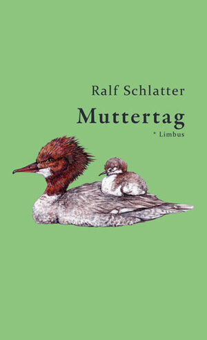 21. Juni, der längste Tag des Jahres, halb sechs Uhr morgens, Sonnenaufgang: Ein Sohn macht sich auf den Weg - seine Mutter hat ihn gebeten, ihr beim Sterben zu helfen, wenn die Sonne untergeht am Ende dieses Tages. Er braucht Zeit und frische Luft, also geht er zu Fuß von einer Stadt zur anderen, fünfzehn Stunden lang, und versucht unterwegs, seine Mutter am letzten Tag ihres Lebens endlich zu begreifen. Er erinnert sich an sein Aufwachsen in der Kleinstadt, an ein Leben als Kind dieser Eltern, als Bruder seiner älteren Schwester. Er stellt Fragen und wundert sich