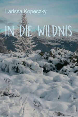 Die beiden Zwillinge Amy und Lanie sind Waisenkinder, die in einem kleinen Dorf in Alaska auf der Straße leben. Wegen eines Streits läuft Amy in den Wald und verletzt sich. Eine Hexe findet sie, kann sie aber nur retten, indem sie Amy in einen Husky verwandelt, und die Einzige, die Amy zurückverwandeln kann, ist Lanie.