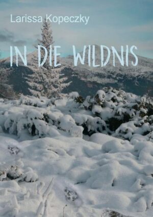 Die beiden Zwillinge Amy und Lanie sind Waisenkinder, die in einem kleinen Dorf in Alaska auf der Straße leben. Wegen eines Streits läuft Amy in den Wald und verletzt sich. Eine Hexe findet sie, kann sie aber nur retten, indem sie Amy in einen Husky verwandelt, und die Einzige, die Amy zurückverwandeln kann, ist Lanie.