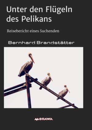 Unter den Flügeln des Pelikans Reisebericht eines Suchenden | Bernhard Brandstätter