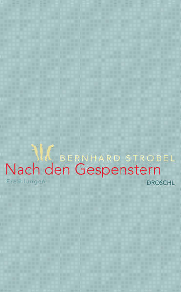 Auch wenn der Titel es nahelegen könnte: schaurige Spukgeschichten wird man in Bernhard Strobels viertem Erzählband nicht finden - Gespenster und Doppelgänger hingegen schon, auch Heimsuchungen und manches Unerklärliche. Es geht um Konfliktsituationen in Familie und Partnerschaft sowie um Verlusterfahrungen und das Leben im Alter: Nach dem Tod seiner Frau zieht ein Mann in eine fremde Ortschaft und wird Teil eines Kriminalfalls