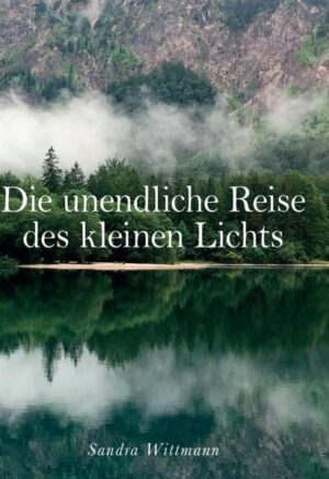 Die Welt des kleinen Lichts bietet alles, was es je brauchen würde: Wärme und alle anderen Lichter - vereint. Ein Zustand des unendlichen Seins, der sich durch das Abnehmen dieser scheinbar immerwährenden Wärme verändert. Immer mehr Lichter verlassen ihren Ursprung und begeben sich auf eine unbekannte Reise. Was entdecken sie in der bekannten Unendlichkeit außer Einsamkeit und Finsternis? Ein Blick auf die Welt aus der Sicht von jemanden, der sie zum ersten Mal entdeckt.