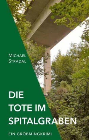 Die Tote im Spitalgraben Ein Gröbmingkrimi | Michael Stradal