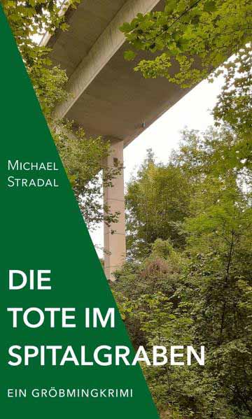 Die Tote im Spitalgraben Ein Gröbmingkrimi | Michael Stradal