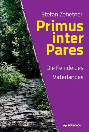 Winter 195/196 n. Chr. Lucius Septimius Severus ist seit drei Jahren Erster Mann in Rom. Seinen Rivalen, Caius Pescennius Niger, und die Parther beseitigt, kehren seine siegreichen Truppen an die Donau zurück. Doch der Feind lauert auch in den eigenen Reihen. Teile der von Severus entlassenen Prätorianer schmieden Rachepläne. Darunter Marcus Aurelius Tausius, einst Centuiro der Garde und führender Kopf am Mordkomplott gegen die Kaiser Commodus und Pertinax. Besessen sucht er nach einem Dokument, dessen Inhalt den amtierenden Kaiser erpressbar macht. Signifer Lucius Minicius Honoratus wird erneut in die Intrigen der Macht hineingezogen und muss einen schrecklichen Preis für sein Vertrauen in gewisse Menschen bezahlen. Können die Feinde des Vaterlandes überhaupt noch aufgehalten werden?