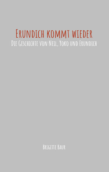 Neil (15) ist im „Niemandsland“ der Pubertät gelandet. Da taucht sein für andere unsichtbare Kindheitsfreund Erundich wieder auf und steht ihm bei seinen Problemen zur Seite. Und auch Neils kleine Schwester macht mit Erundich Bekanntschaft, er hilft ihr durch eine schwierige Zeit. Neil und Yoko erzählen von ihren Erlebnissen und Erfahrungen - und auch Erundich kommt zu Wort und spricht von seiner Sicht auf das Leben der Menschen.