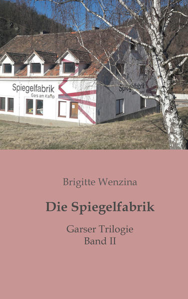 Die Revitalisierung der ehemaligen Spiegelfabrik Lachmair wirft ihre Schatten voraus. Neben den ohnehin aufreibenden Vorbereitungsarbeiten für die Eröffnungsfeier, muss Bürgermeister Geier auch noch aufgebrachte Naturschützer und besorgte Anrainer beruhigen, eine engagierte Biber-Forscherin und einen fremdenfeindlichen Wutbürger im Zaum halten, und sich um einen verliebten Pensionisten kümmern. Kein Wunder also, dass der Herr Bürgermeister jeden Morgen mehr und mehr graue Haare in seinem Spiegelbild entdeckt ...