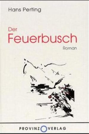 Die Geschichte von Walter Pomella mit Luna de la Montana ist voller Schicksalsfragen. Weit mehr als eine anmutige Liebesge-schichte, ist ihr Weg eine feine Entfaltung seelischer Motive und Zustände. Eine Liebe, die in den Anden Süd-Amerikas beginnt und die am Ende im Ungewissen verdämmert. Ein Meisterwerk seinem Erzählduktus nach.