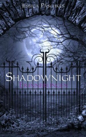 Der Auftakt der Shadownight- Trilogie Tore in andere Welten. ein Geheimnis, das niemand lüften kann. und mittendrin Jeremy Monroe, dessen Kampf gegen die Schatten der Vergangenheit gerade erst beginnt.