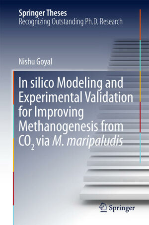 In silico Modeling and Experimental Validation for Improving Methanogenesis from CO2 via M. maripaludis | Bundesamt für magische Wesen