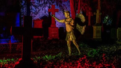 Sascha Vaegs als Goldener Engel auf dem Alten Friedhof Bonn (Foto: Barbara Frommann)