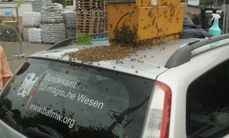 Der BAfmW-Dienstwagen im Einsatz für Bienen und Vaterland! Foto: Bundesamt für magische Wesen