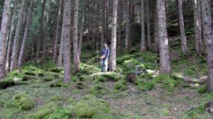 Mondelf Sleiranir im Wald (Foto: Sleiranir Wenger)