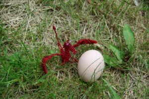 Ein Perldrache mit einem Ei (Foto: Anna Bayer)