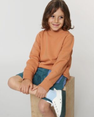 Für die Iconic Kinder Rundhals-Sweatshirt "Mini Changer" mit dem Bundeslurch wurde 85% gekämmte ringgesponnene Bio-Baumwolle, 15% recyceltes Polyester verwendet, denn das BAfmW steht für einen fairen und nachhaltigen Umgang mit Ressourcen