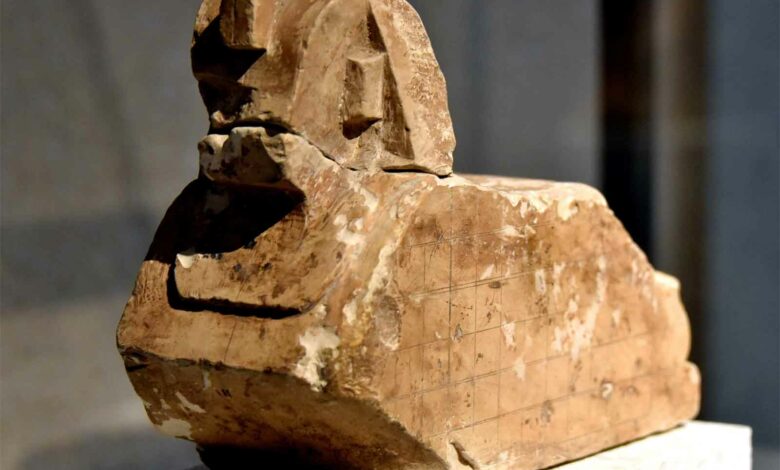 A sculpture model of an Egyptian sphinx. Limestone. Late Period, 664-332 BCE (Foto: Osama Shukir Muhammed Amin