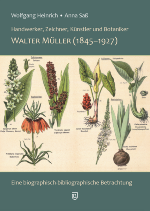 Walter Müller (1845-1927) | Wolfgang Heinrich, Anna Sass
